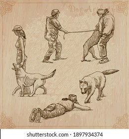 Dogs - Dog Training. Collection of an hand drawn vector illustrations. Freehand, line art sketching.