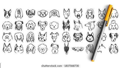 Dogs doodle set. Collection of hand drawn pencil ink drawing sketches templates patterns of domestic animals puppies dolmatins chihuahua pug spitz pets muzzles. Human friends illustration.