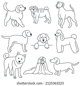 Dogs doodle set. Pets hand drawn collection. Outline drawing animals isolated vector illustration