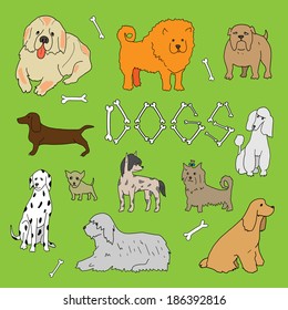 Dogs. Doodle set in vector isolated on a green background.