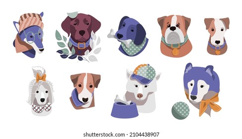 dogs dressed in funny headscarves, glasses, hats. funny dogs in beautiful bandanas, with medals, with a bowl, with medallions, with balls and toys