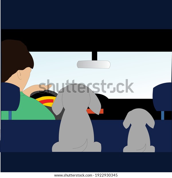 Dogs driving in\
car, vector art\
illustration