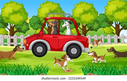 Dogs driving in red car in park illustration