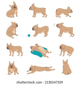 Dogs emotions body language set with activity symbols flat isolated vector illustration