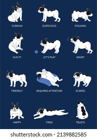 Dogs emotions body language set flat isolated vector illustration