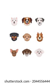 Dogs Faces collection. Vector illustration of funny cartoon different breeds dogs in trendy flat style. Isolated on white.