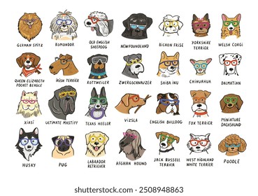 Dogs faces different breeds with trendy glasses illustrations set