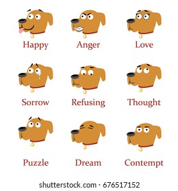 Dogs faces with different emotions isolated on a white background. Set of emoticons in the style of cute dogs with captions. Vector cartoon close-up illustration.