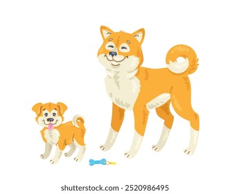 Família dos cães. Adulto Akita Inu cachorro e engraçado cachorrinho. Em estilo cartoon. Isolado no fundo branco. Ilustração plana vetorial.