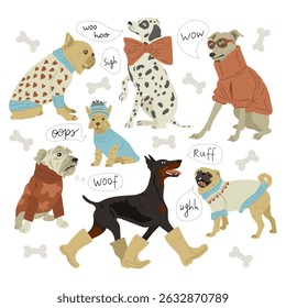Dogs fashion colorful collection of different breeds dogs 