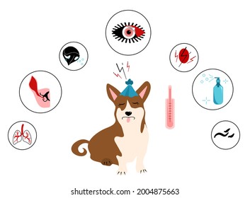 Dog`s fever symptoms.Infographic icons with different signs and reasons of high temperature.Canine healthcare.Veterinary banner.Shivering,warm nose and ears,red eyes.Animal disease.Vector.Flat style