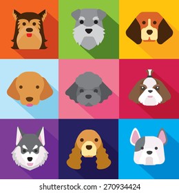 dogs /flat design