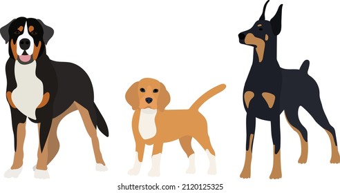 dogs flat design on white background, vector