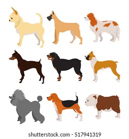 Dogs Flat Set Stock Vector (Royalty Free) 517941319 | Shutterstock