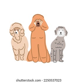 Dogs in flat style isolated on white background. Cute Cartoon pet vector illustration.
