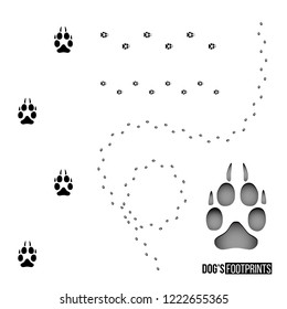 Dog's footprint set isolated on white background. Vector design element