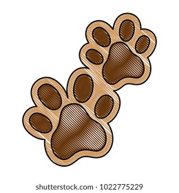 dogs footprints isolated icon