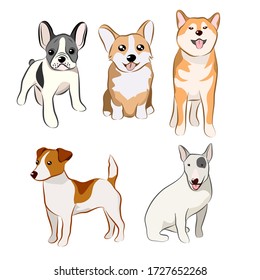 Dogs Free Hand Drawing collection in Vector illustration of funny cartoon different breeds dogs in trendy flat style. Isolated on white.