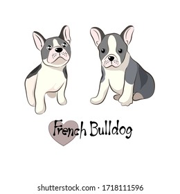 Dogs of French Bulldog Collection in Vector illustration of Pets in trendy flat style. Isolated on white.