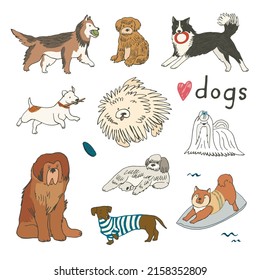 Dogs funny pets vector illustrations set