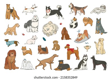 Perros divertidos mascotas ilustraciones vectoriales conjunto