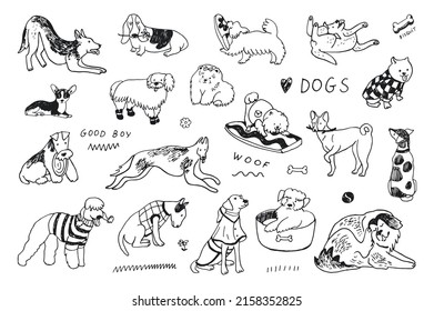 Dogs funny pets vector line illustration set