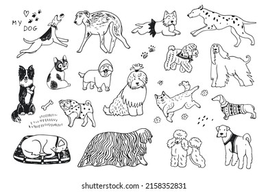 Dogs funny pets vector line illustration set