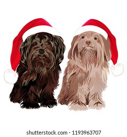 dogs in a funny Santa's red cap. Christmas and New Year card. Vector illustration.