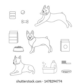 Dogs and graphic set of accessories for pets. Vector isolated pets collection.