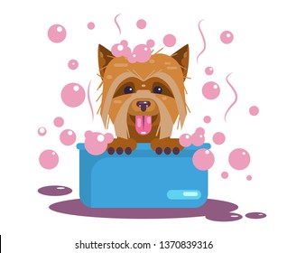 Dogs grooming. Cheerful puppy bathes in the pelvis. Around foam. Flat Vector Illustration
