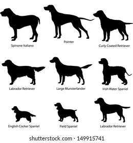Dogs. Gun dog icon set  vector silhouette collection.