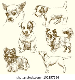 dogs - hand drawn set