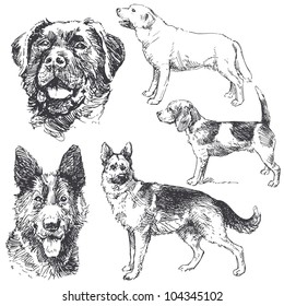 dogs - hand drawn set