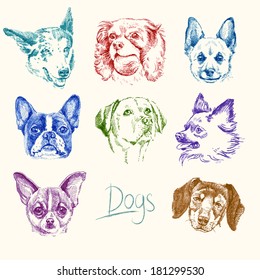 dogs - hand drawn set