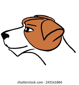 Dog's head