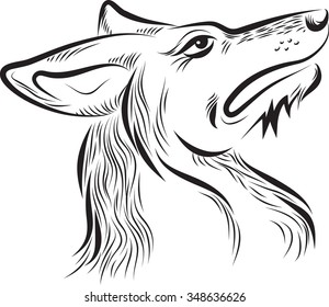 dog's head, drawn by hand, vector, isolated on white