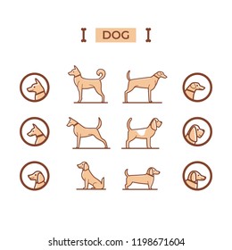 Dogs head icon set. Different type of dogs. Vector illustration.