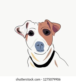 dog's head in illustration