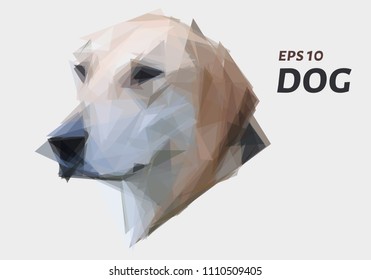 The dog's head is made of triangles. Low poly dog. Vector illustration