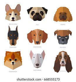Dogs heads of different breeds. Vector illustration set for your cute design.