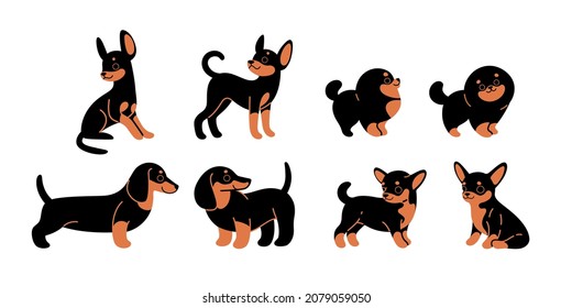 Dogs icon set. Dogs in various poses and action. Dachshund, spitz, chihuahua, toy terrier. Vector illustration for prints, clothing, packaging, stickers.