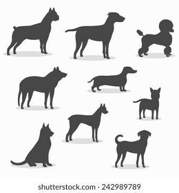 Dogs icons set of different breeds