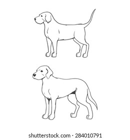 dogs isolated on white background