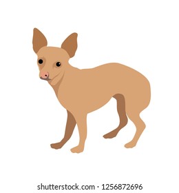 Dogs isolated Vector on white background