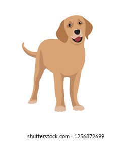 Dogs isolated Vector on white background