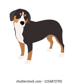 Dogs isolated Vector on white background