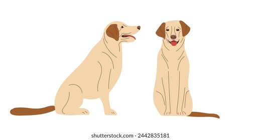 Dogs. Labrador Retriever. Thoroughbred dog isolated on white background. Dogs sitting. Pet, domestic animal. Light-colored short-haired dog. Flat vector pet animals isolated on white background.