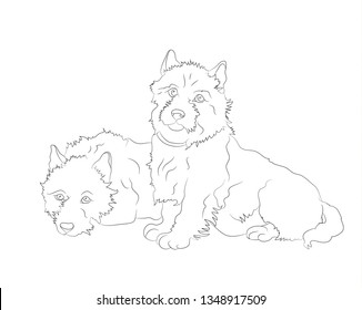 dogs lies drawing lines, vector, white background