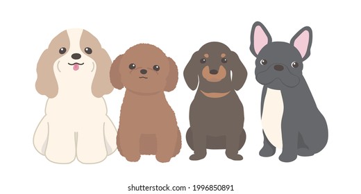 Dogs looking at the camera. spaniel dog, toy poodle, miniature dachshund and French bulldog.