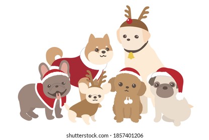 dogs. Merry Christmas. pets. Santa claus costume.